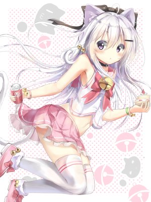 yonjyuugo,白川音々子,兽耳,猫耳,黑丝