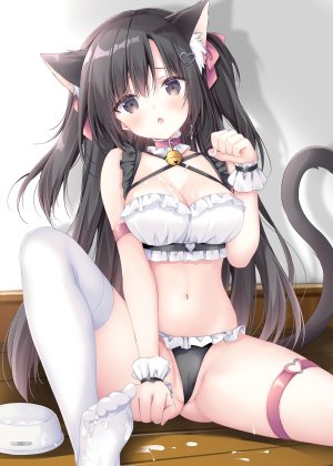 梱枝りこ,兽耳,bra,cameltoe,garter,猫耳,胖次,丝袜