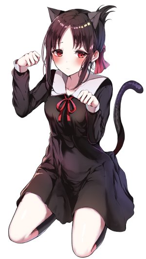 四宫辉夜,兽耳,黑发,脸红,猫耳,猫尾,视线正对,红色眼,缎带,坐姿,短裙,single,白背景