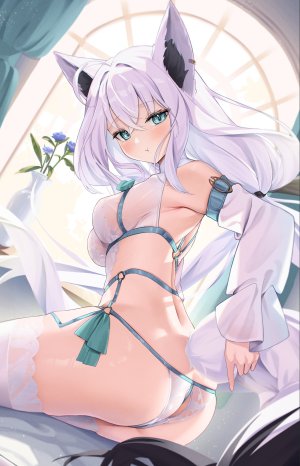 g_uhrabbit,白上フブキ,Hololive,hololive_gamers,兽耳,bra,cameltoe,妖狐,lingerie,胖次,看穿,丝袜