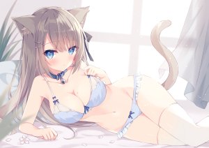 hoshi,兽耳,bra,猫耳,胖次,黑丝,白丝