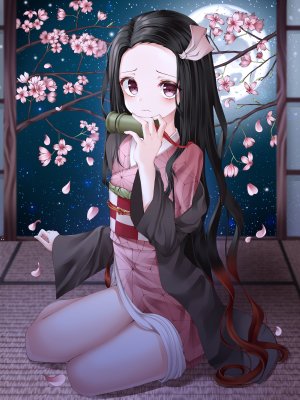 hsxxx,灶门祢豆子,鬼灭之刃,和服