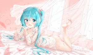 mikoo_o39,初音ミク,VOCALOID,裸足,脸红,长发,花瓣,ピンク,衬衫,双马尾