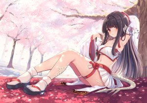 marekamico,au_ra,最终幻想,ファイナルファンタジーXIV,黑发,樱花,garter,和服,长发,巫女,露脐,花瓣,红色眼,短裙