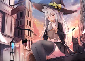 touhourh,猫,胖次,掀裙,丝袜,魔女
