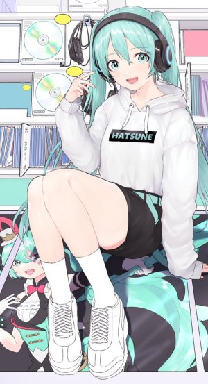 初音ミク,VOCALOID,usagiplanet7,连帽衫,长袖,视线正对,single,双马尾,白丝