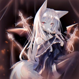 兽耳,连衣裙,妖狐,剑,黑丝
