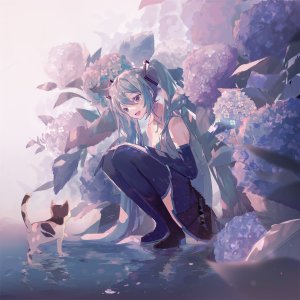 豆の素,初音ミク,VOCALOID,紫陽花