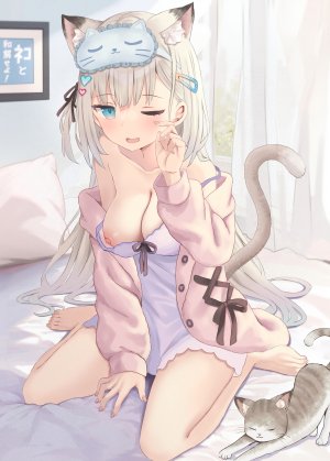 akino_ell,兽耳,breasts,lingerie,猫,猫耳,nipples,睡衣