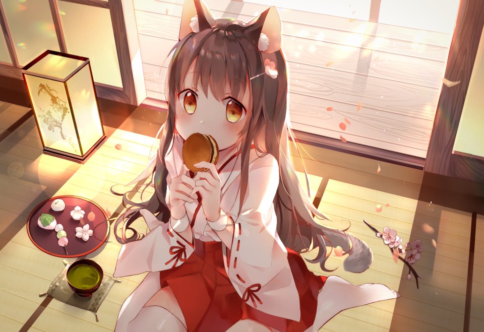 Amafuyu 原创 兽耳 裸足 脸红 茶发 猫娘 樱花