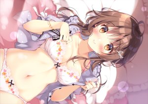 pan,原创,脸红,bra,胸部,棕色眼,茶发,cleavage,长发,露脐,胖次,下着,脱衣