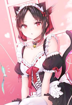 チェブ,四宫辉夜,兽耳,cleavage,女仆,猫耳,黑丝